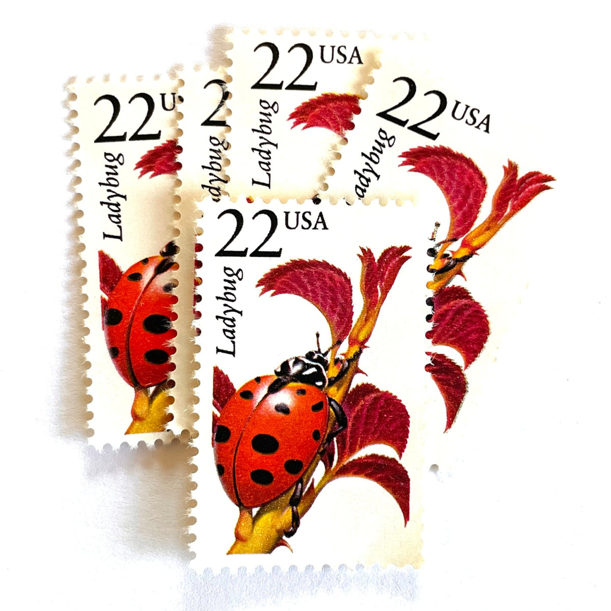 Ladybug Postage Stamps (North American Wildlife Series, Insect ...