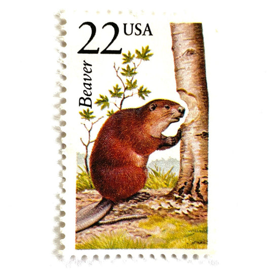Image of 1987 North American Wildlife Series “Beaver” 22-cent vintage unused USPS mail stamps. Scott #2316. Stamp Themes: Wildlife, Nature, Eager Beaver, Engineer, Dam, Tree Falling, Streams, Wetlands, Conservation, Canada's National Animal, OSU Benny the Beaver, MIT Tim the Beaver. Brown/Red, Light Green, Multicolored postage stamp. Perfect vintage postage stamp to use for save the date announcements, wedding invitation postage, shower invitations, thank you cards, and snail mail.
