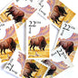 Image of 1987 North American Wildlife Series “Bison” 22-cent vintage unused USPS mail stamps. Scott #2320. Stamp Themes: Wildlife, Nature, Buffalo, Bison, Tatanka, Herd, Grazing, Prairie, Grasslands, University of Colorado Boulder Ralphie, Colorado, Wyoming, Yellowstone, Grand Tetons, Conservation. Brown, Yellow/Gold, Pink, Multicolored postage stamp. Perfect vintage postage stamp to use for save the date announcements, wedding invitation postage, shower invitations, thank you cards, and snail mail.