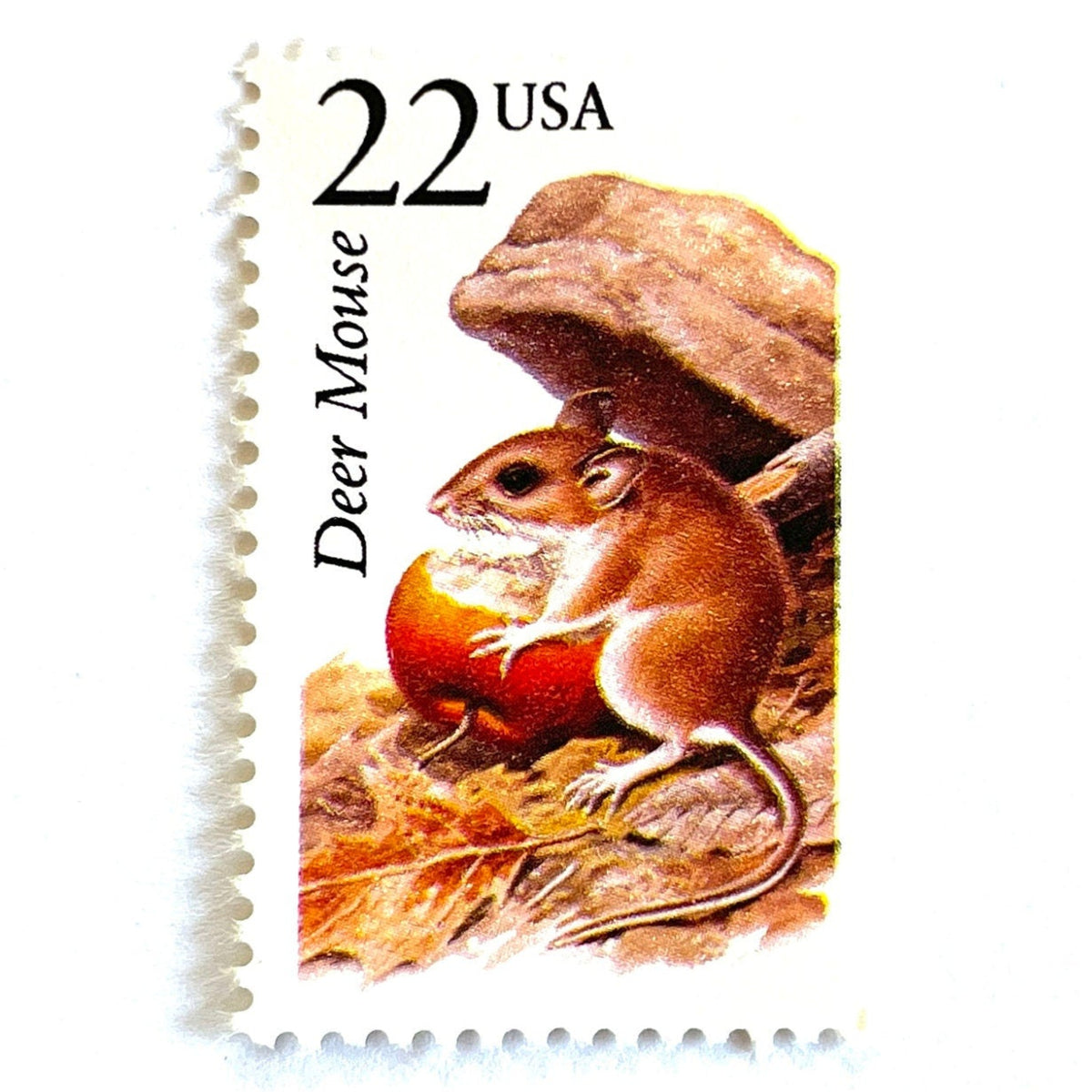 Deer Mouse Postage Stamps (North American Wildlife Series, Multicolored ...