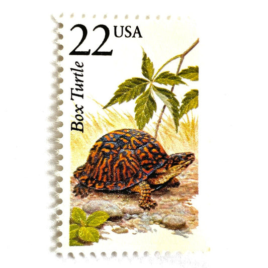 Image of 1987 North American Wildlife Series “Box Turtle” 22-cent mail stamp. Scott #2326. Stamp Themes: Turtle, Reptile, Wetlands, Wildlife Conservation, Fauna of The Eastern United States, Forests, Woodlands, Grasslands, Wetlands. Orange and Black, Multicolor postage stamp.
