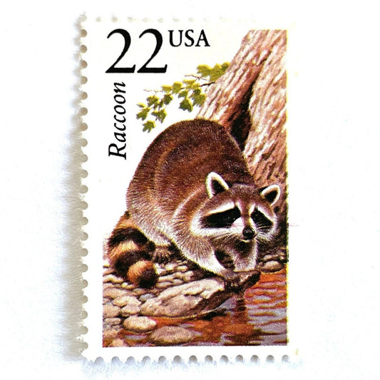 Image of 1987 North American Wildlife Series “Raccoon” 22-cent vintage unused USPS mail stamps. Scott #2331. Stamp Themes: Wildlife, Nature, Nocturnal, Bandit, Black Mask, Ringed Tail, Forager, University of Illinois, Robo the Illini. Black and Grey, Green, Multicolored postage stamp. Perfect vintage postage stamp to use for save the date announcements, wedding invitation postage, shower invitations, birth announcements, and snail mail.