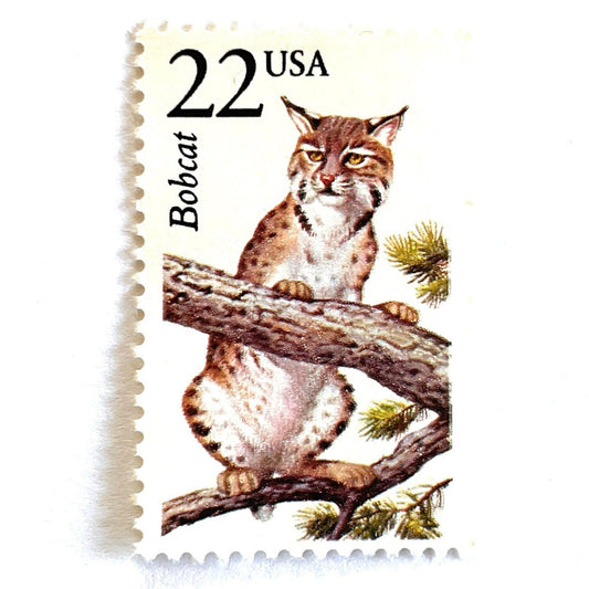 Image of 1987 North American Wildlife Series “Bobcat” 22-cent vintage unused USPS mail stamps. Scott #2332. Stamp Themes: Wildlife, Nature, Cat, Feline, Bobcat, Predator, Spotted, Ohio University Mascot, Texas State University Bobo the Bobcat, Montana State University Champ the Bobcat. Natural, Neutral, Beige, Multicolored postage stamp. Perfect vintage postage stamp to use for save the date announcements, wedding invitation postage, shower invitations, birth announcements, thank you cards, and snail mail.