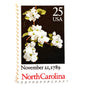 Image of North Carolina Statehood postage stamps from the 1989 Bicentenary Statehood series, featuring white dogwood flowers on a black background on vintage unused 25-cent USPS postage, Scott 2347.
