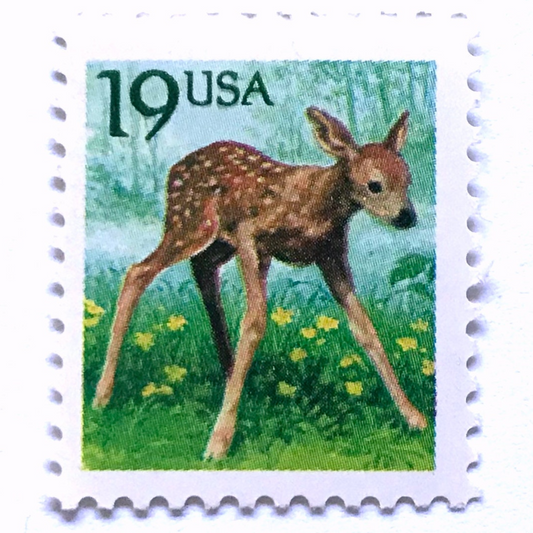 Image of four 19 cent Flora & Fauna Series 1991 Fawn stamps. Scott #2479. Stamp themes: Young Deer, Doe, Calf, Baby, Youth, Spring, Bambi, Birth. Green and blue postage stamp.