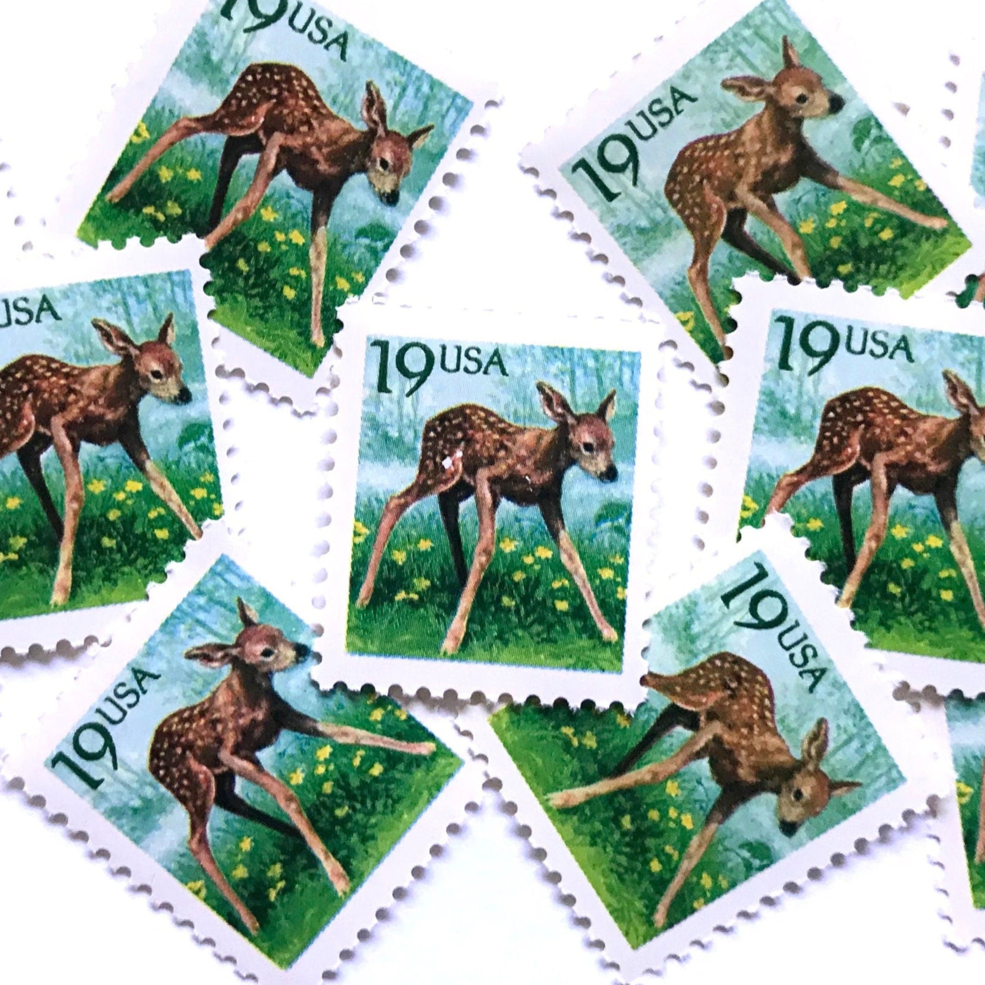Image of four 19 cent Flora & Fauna Series 1991 Fawn stamps. Scott #2479. Stamp themes: Young Deer, Doe, Calf, Baby, Youth, Spring, Bambi, Birth. Green and blue postage stamp.