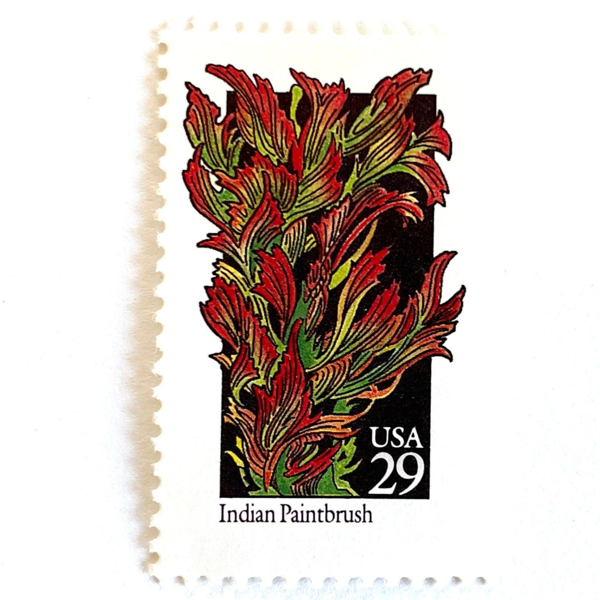 Image of 29-cent USPS postage stamp featuring red and green Indian Paintbrush flower from the 1992 American Wildflower Series