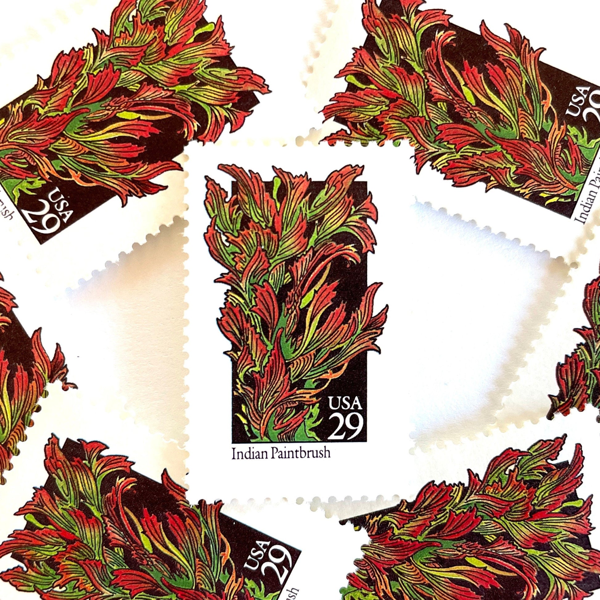 Image of 29-cent USPS postage stamp featuring red and green Indian Paintbrush flower from the 1992 American Wildflower Series