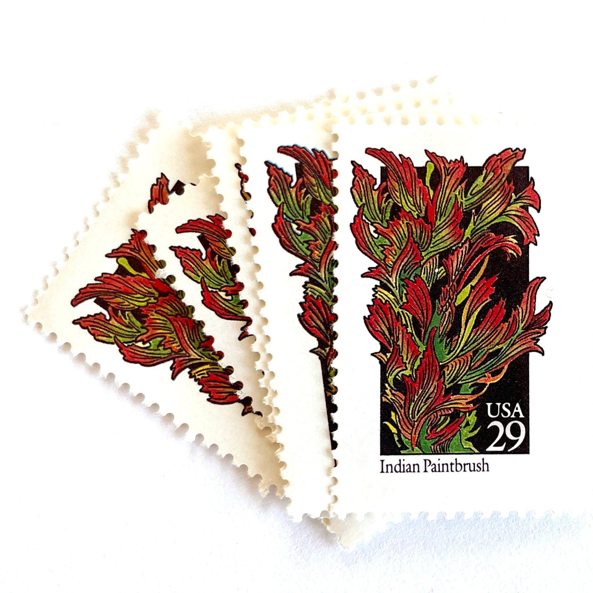Image of 29-cent USPS postage stamps featuring red and green Indian Paintbrush flower from the 1992 American Wildflower Series