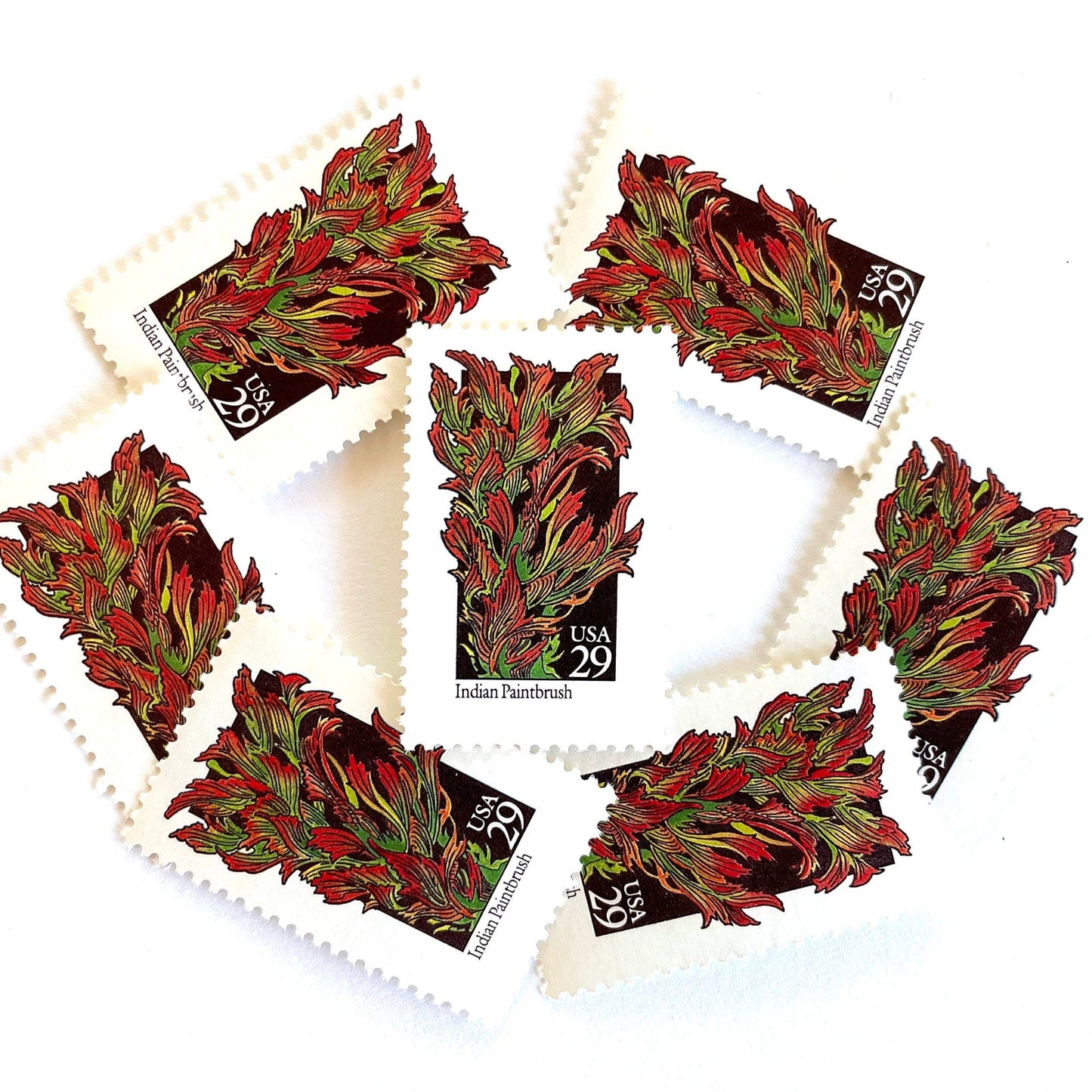 Image of 29-cent USPS postage stamps featuring red and green Indian Paintbrush flower from the 1992 American Wildflower Series