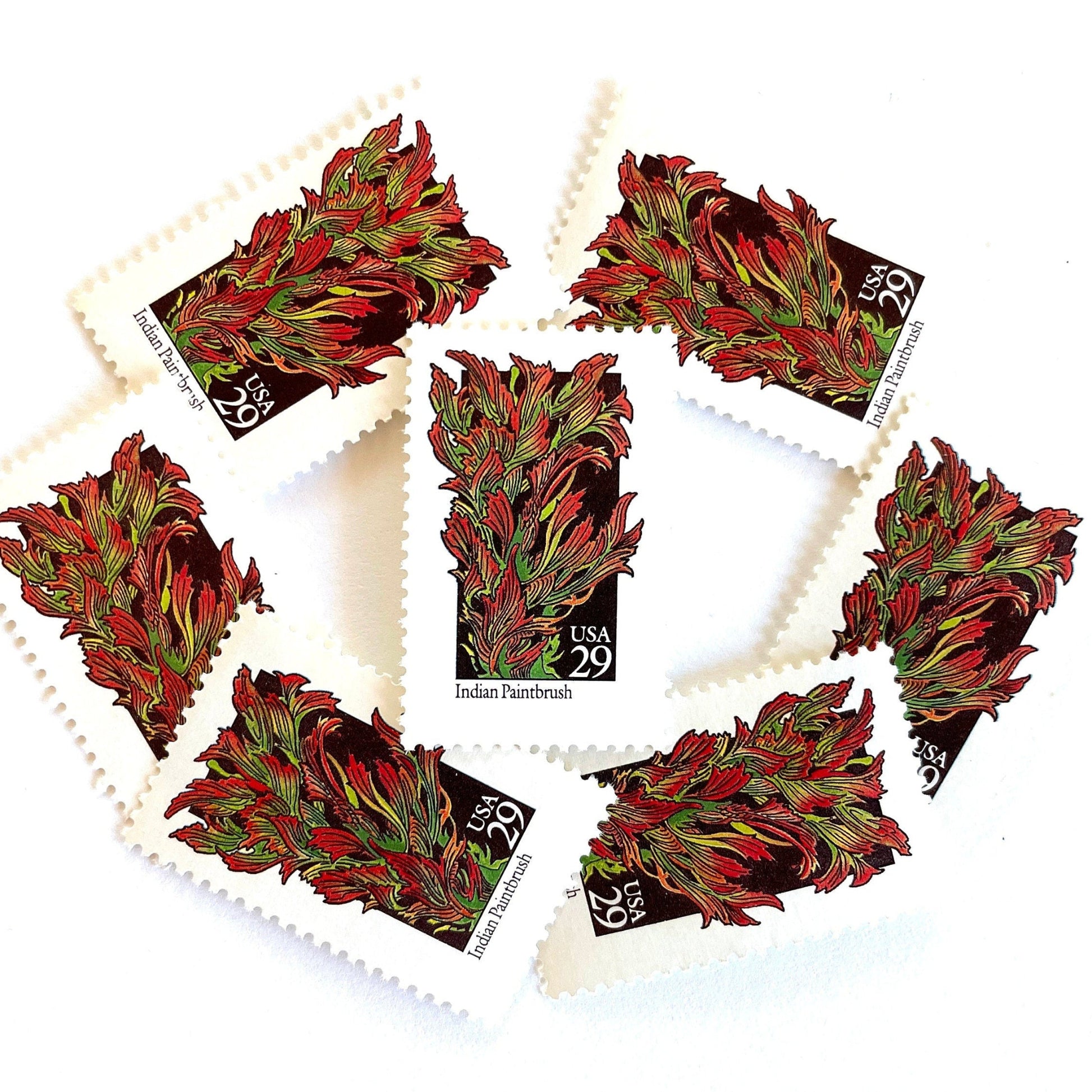 Image of 29-cent USPS postage stamps featuring red and green Indian Paintbrush flower from the 1992 American Wildflower Series