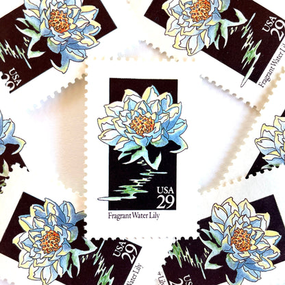 Image of 29-cent USPS postage stamps featuring a white Fragrant Water Lily flower from the 1992 American Wildflower Series