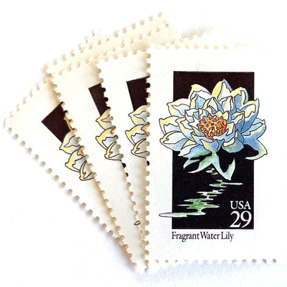 Image of 29-cent USPS postage stamps featuring a white Fragrant Water Lily flower from the 1992 American Wildflower Series