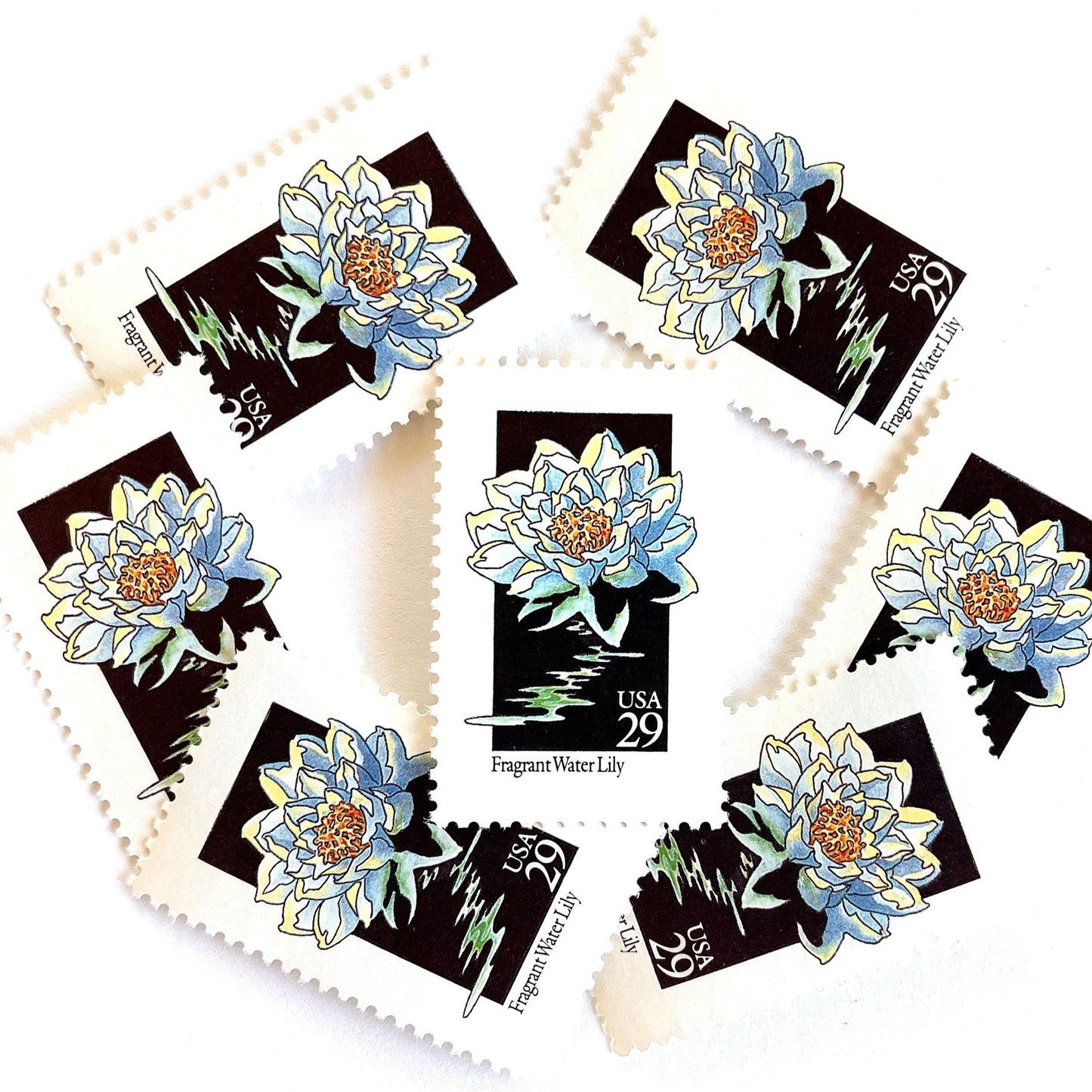 Image of 29-cent USPS postage stamps featuring a white Fragrant Water Lily flower from the 1992 American Wildflower Series