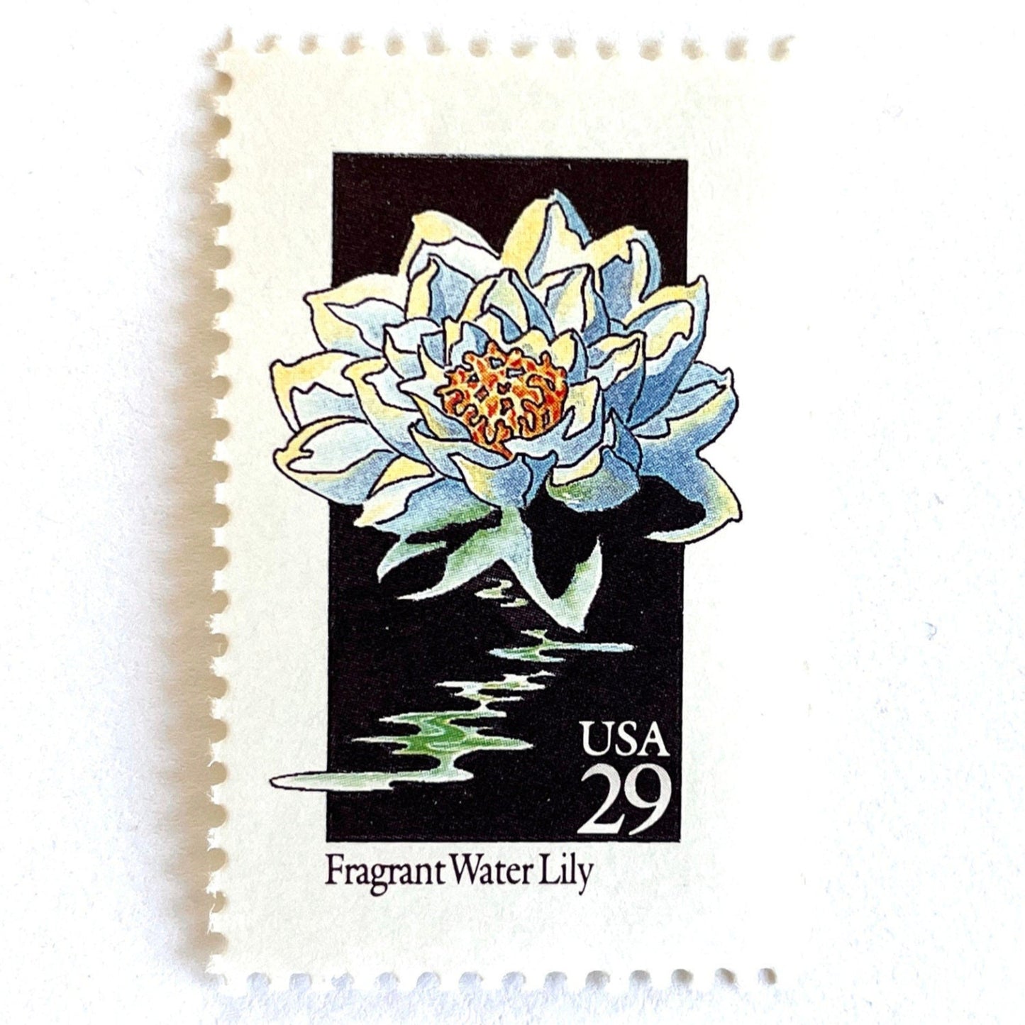 Image of 29-cent USPS postage stamp featuring a white Fragrant Water Lily flower from the 1992 American Wildflower Series