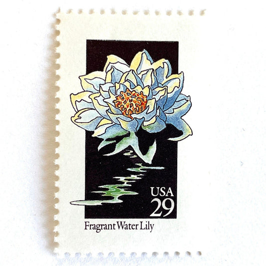 Image of 29-cent USPS postage stamp featuring a white Fragrant Water Lily flower from the 1992 American Wildflower Series