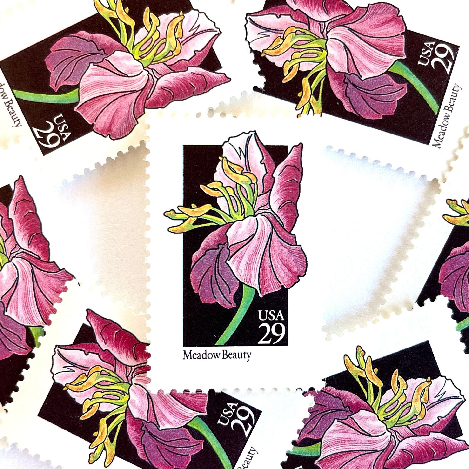 Image of 29-cent USPS postage stamps featuring a pink Meadow Beauty flower from the 1992 American Wildflower Series