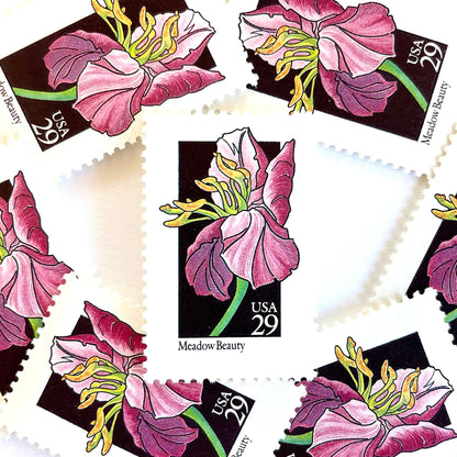 Image of 29-cent USPS postage stamps featuring a pink Meadow Beauty flower from the 1992 American Wildflower Series