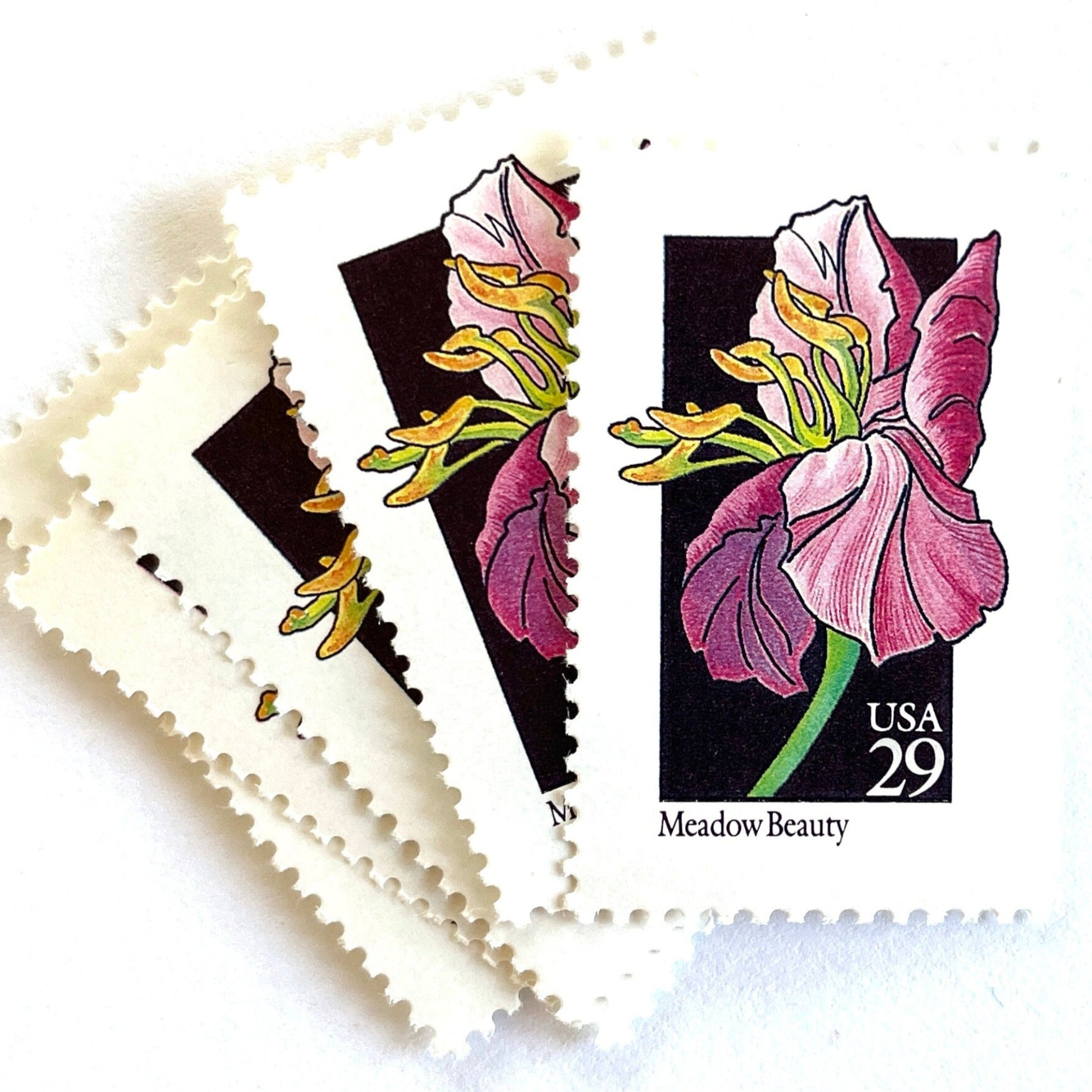 Image of 29-cent USPS postage stamps featuring a pink Meadow Beauty flower from the 1992 American Wildflower Series