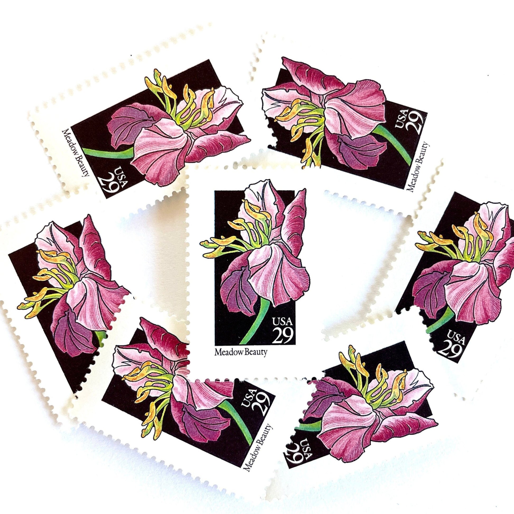 Image of 29-cent USPS postage stamps featuring a pink Meadow Beauty flower from the 1992 American Wildflower Series