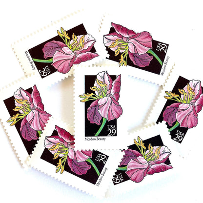 Image of 29-cent USPS postage stamps featuring a pink Meadow Beauty flower from the 1992 American Wildflower Series