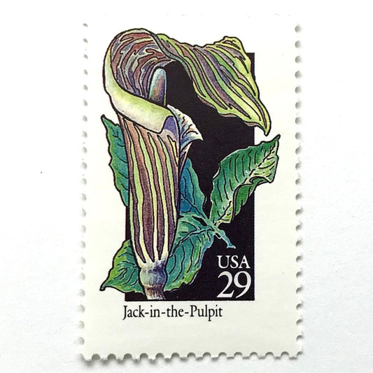 Image of 29-cent USPS postage stamp featuring a green/multicolored Jack-In-The-Pulpit flower from the 1992 American Wildflower Series