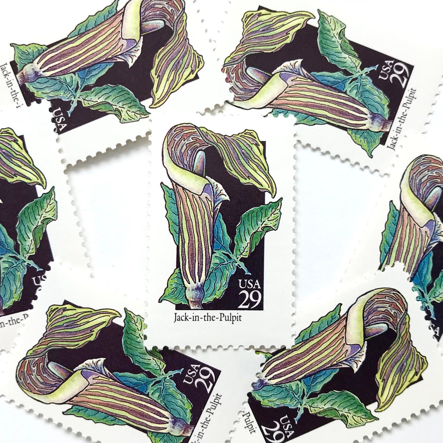 Image of 29-cent USPS postage stamps featuring a green/multicolored Jack-In-The-Pulpit flower from the 1992 American Wildflower Series