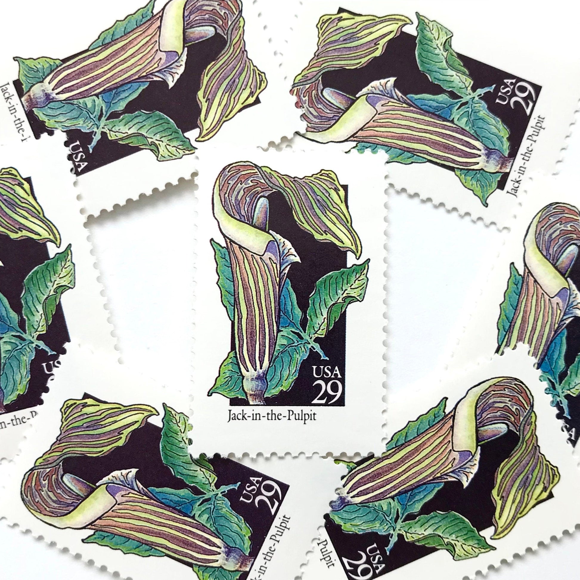 Image of 29-cent USPS postage stamps featuring a green/multicolored Jack-In-The-Pulpit flower from the 1992 American Wildflower Series