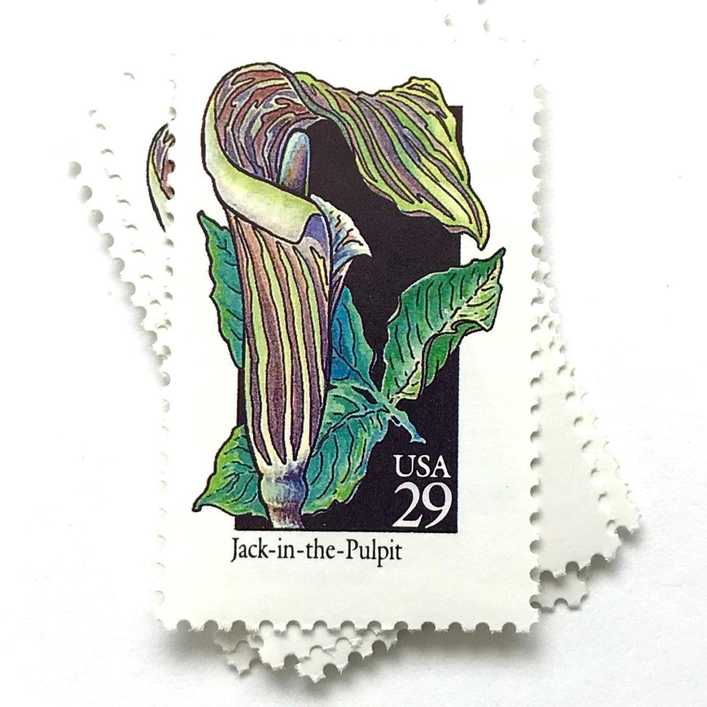 Image of 29-cent USPS postage stamps featuring a green/multicolored Jack-In-The-Pulpit flower from the 1992 American Wildflower Series