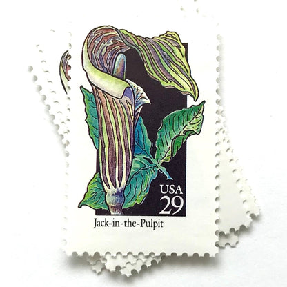 Image of 29-cent USPS postage stamps featuring a green/multicolored Jack-In-The-Pulpit flower from the 1992 American Wildflower Series