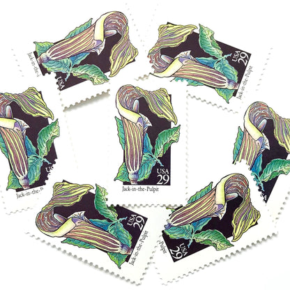 Image of 29-cent USPS postage stamps featuring a green/multicolored Jack-In-The-Pulpit flower from the 1992 American Wildflower Series