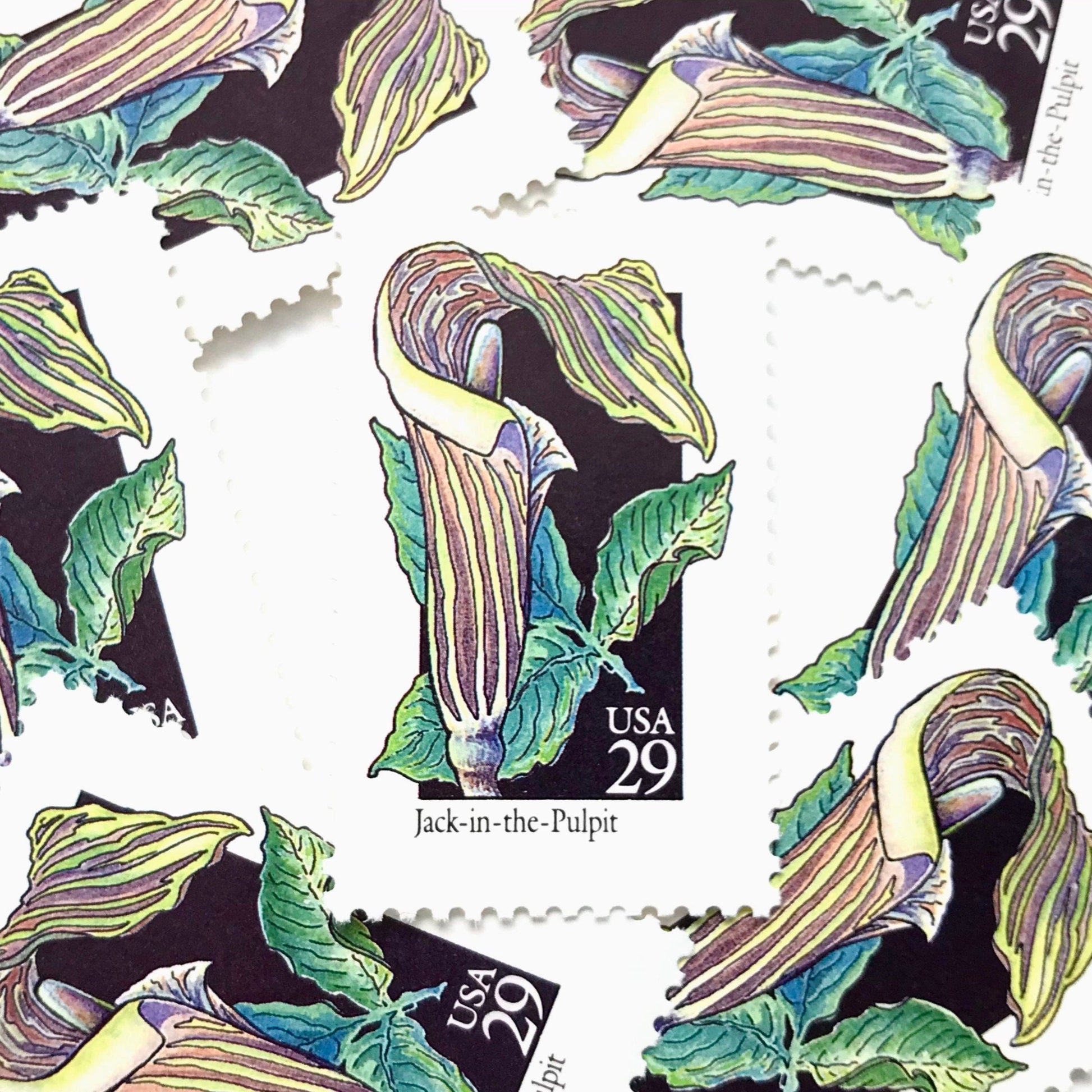 Image of 29-cent USPS postage stamps featuring a green/multicolored Jack-In-The-Pulpit flower from the 1992 American Wildflower Series