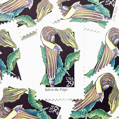Image of 29-cent USPS postage stamps featuring a green/multicolored Jack-In-The-Pulpit flower from the 1992 American Wildflower Series