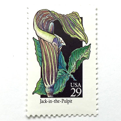 Image of 29-cent USPS postage stamp featuring a green/multicolored Jack-In-The-Pulpit flower from the 1992 American Wildflower Series