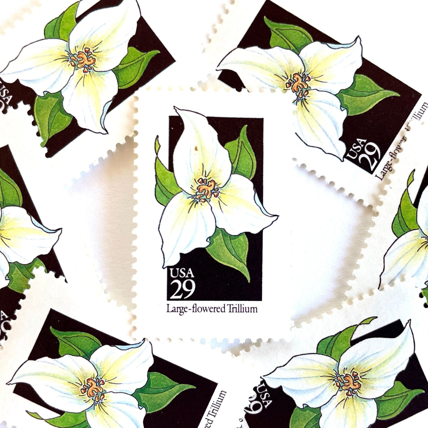 Image of 29-cent USPS postage stamps featuring a white Large-flowered Trillium flower from the 1992 American Wildflower Series (Scott #2652) Ohio State Wildflower