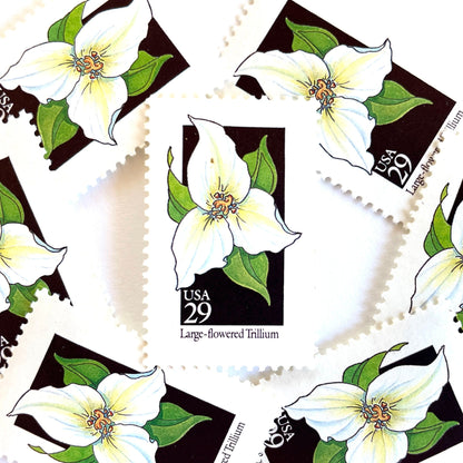 Image of 29-cent USPS postage stamps featuring a white Large-flowered Trillium flower from the 1992 American Wildflower Series (Scott #2652) Ohio State Wildflower
