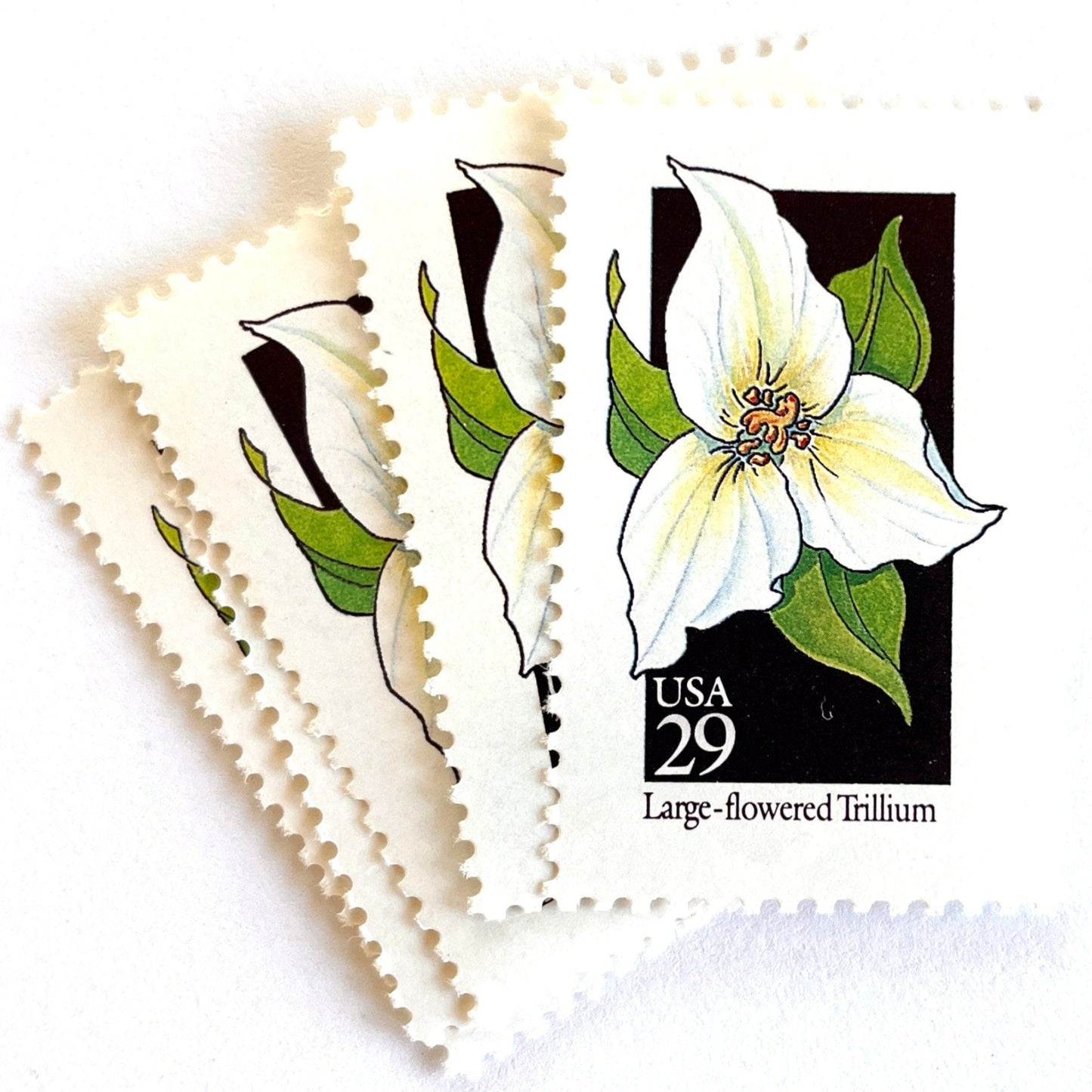 Image of 29-cent USPS postage stamps featuring a white Large-flowered Trillium flower from the 1992 American Wildflower Series (Scott #2652) Ohio State Wildflower
