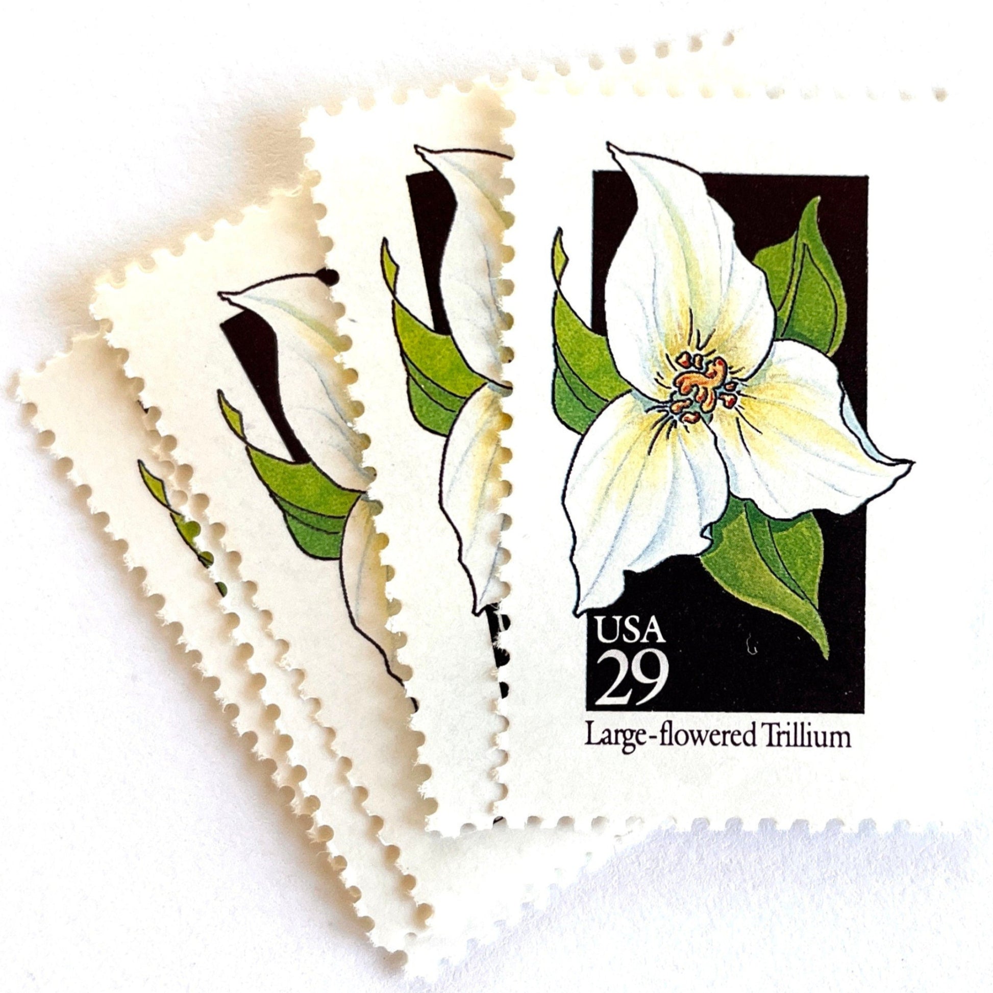 Image of 29-cent USPS postage stamps featuring a white Large-flowered Trillium flower from the 1992 American Wildflower Series (Scott #2652) Ohio State Wildflower
