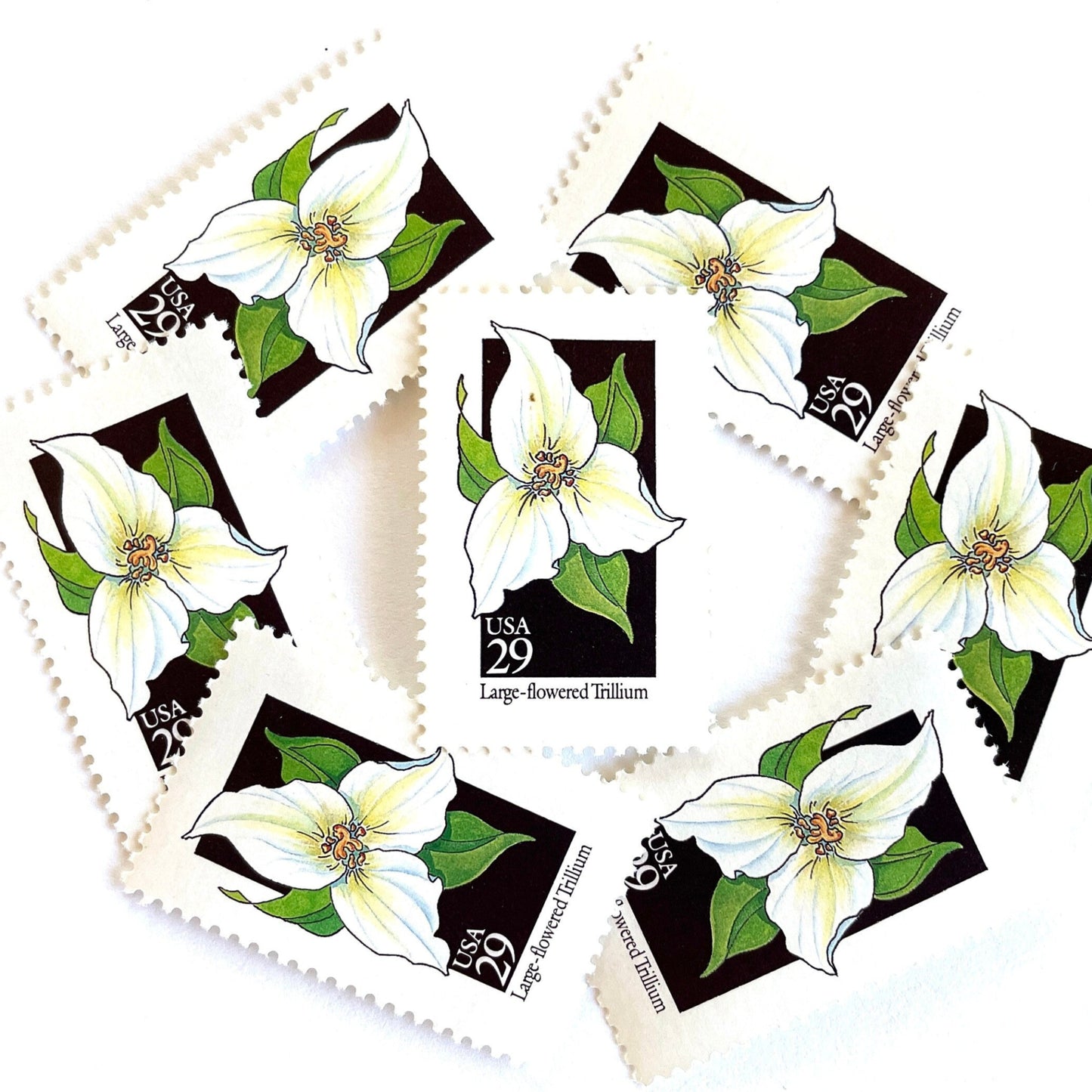 Image of 29-cent USPS postage stamps featuring a white Large-flowered Trillium flower from the 1992 American Wildflower Series (Scott #2652) Ohio State Wildflower