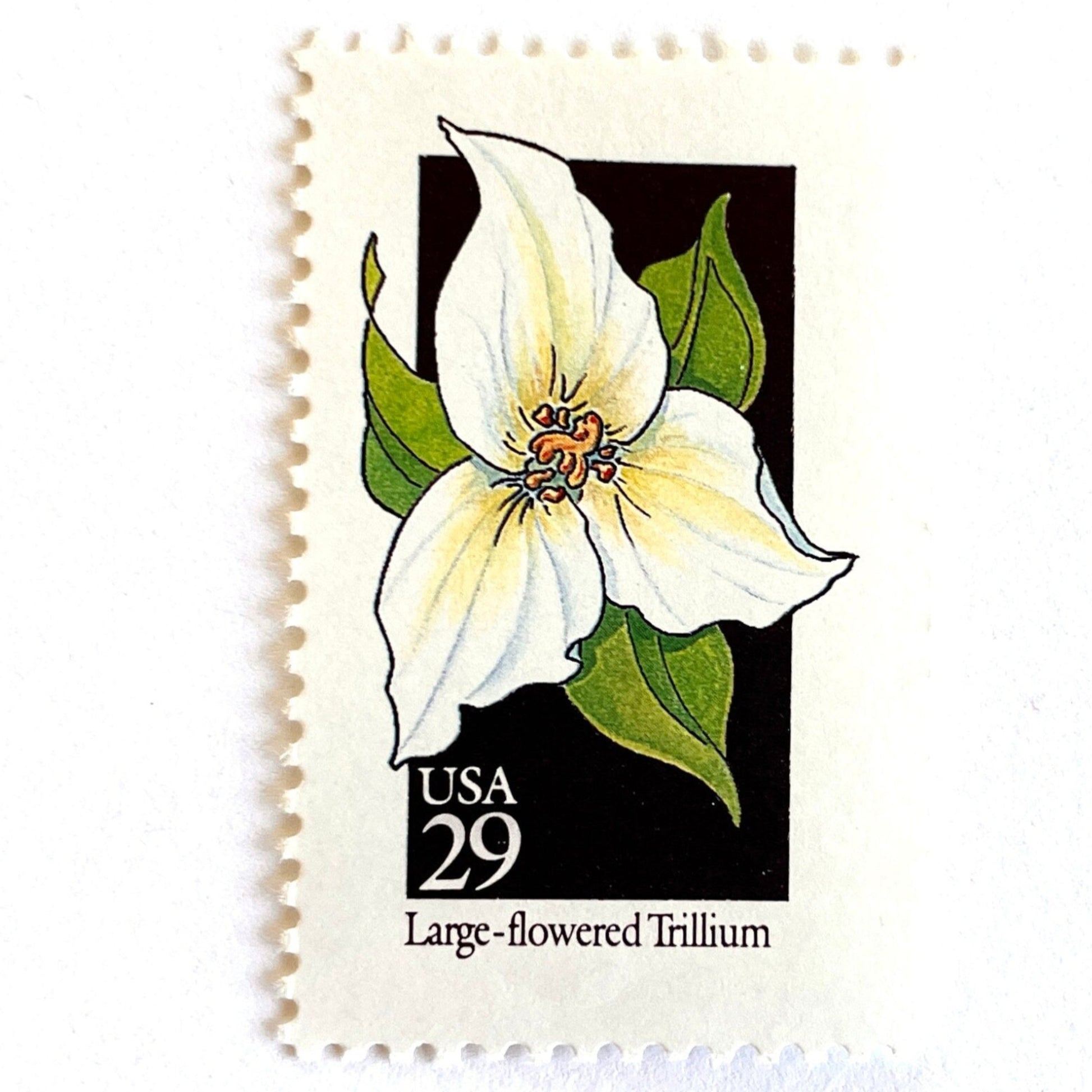 Image of 29-cent USPS postage stamp featuring a white Large-flowered Trillium flower from the 1992 American Wildflower Series (Scott #2652) Ohio State Wildflower