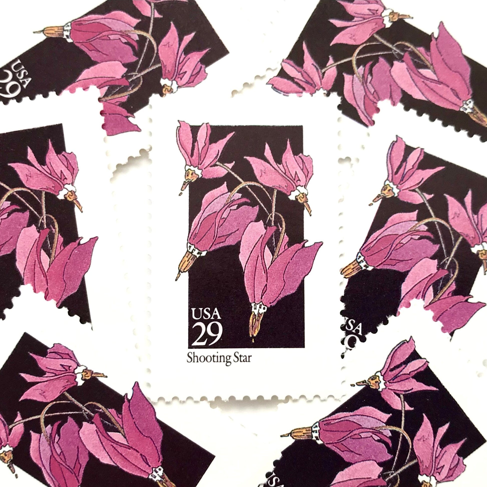 Image of 29-cent USPS postage stamps featuring a pink Shooting Star flower from the 1992 American Wildflower Series (Scott #2654)