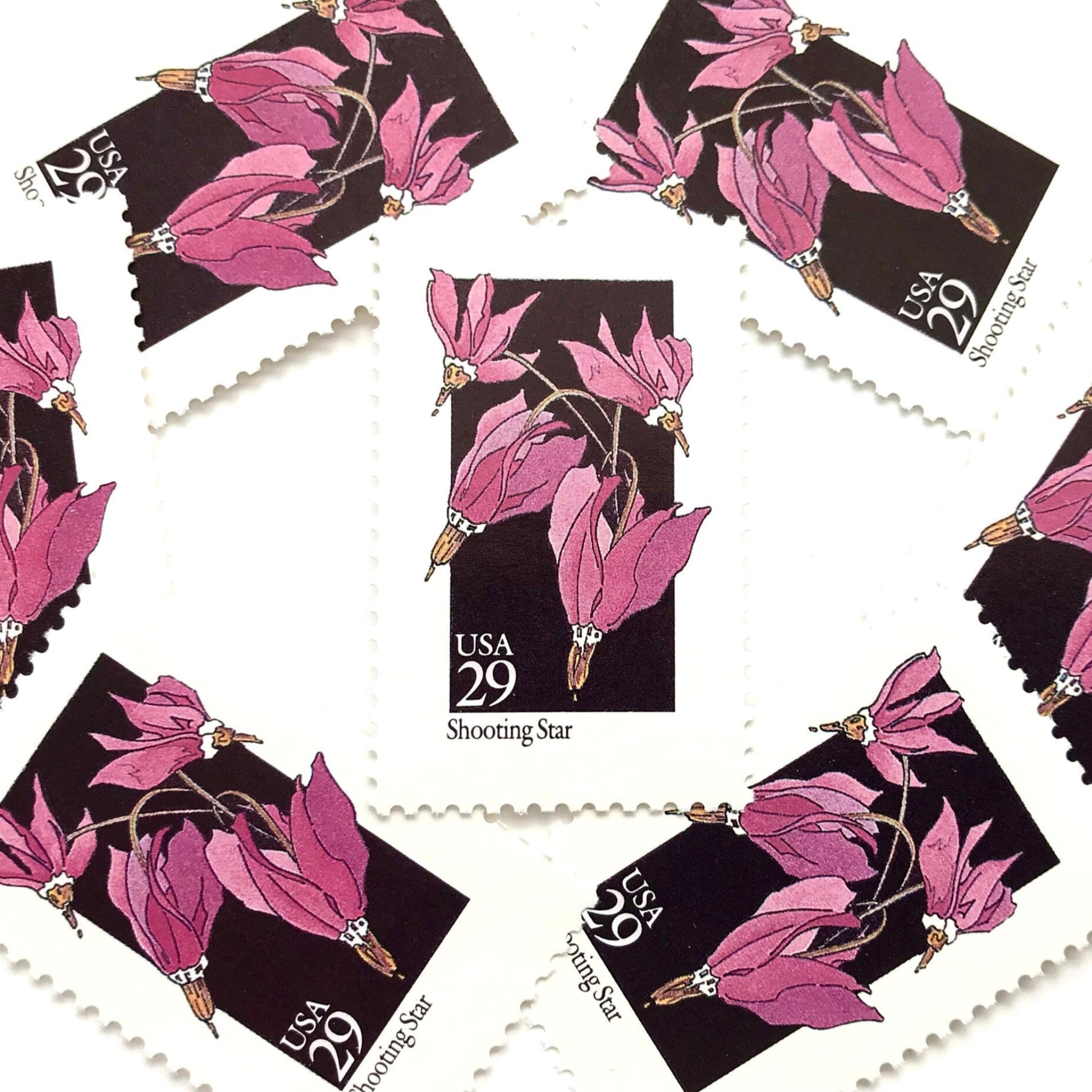 Image of 29-cent USPS postage stamps featuring a pink Shooting Star flower from the 1992 American Wildflower Series (Scott #2654)