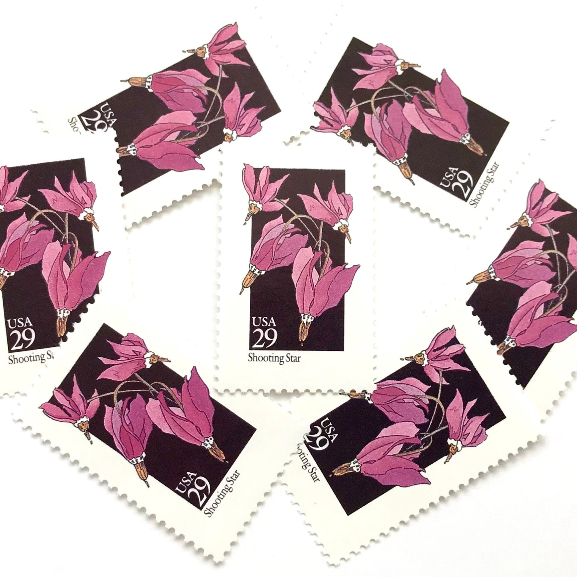 Image of 29-cent USPS postage stamps featuring a pink Shooting Star flower from the 1992 American Wildflower Series (Scott #2654)