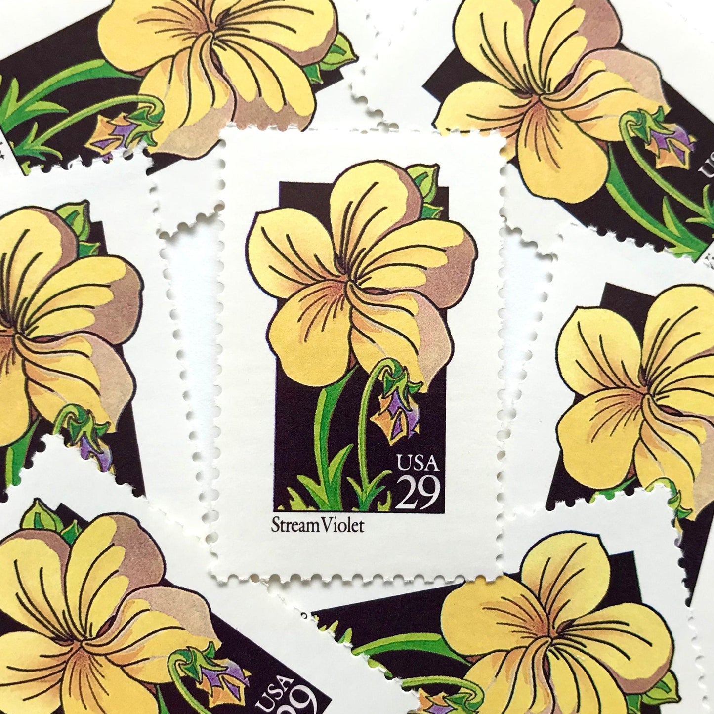 Image of 29-cent USPS postage stamps featuring a yellow Stream Violet flower from the 1992 American Wildflower Series (Scott #2655)
