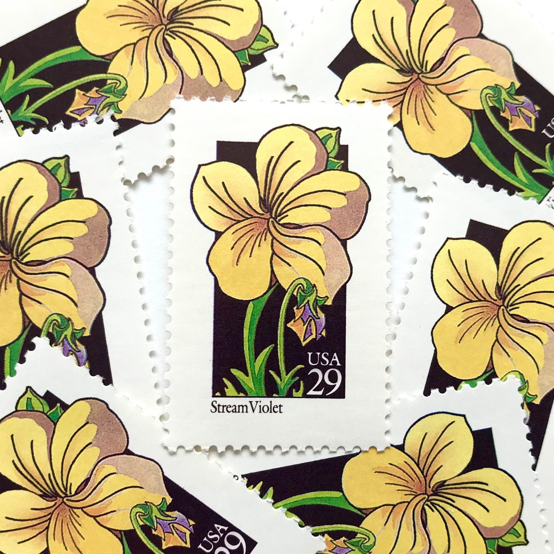 Image of 29-cent USPS postage stamps featuring a yellow Stream Violet flower from the 1992 American Wildflower Series (Scott #2655)