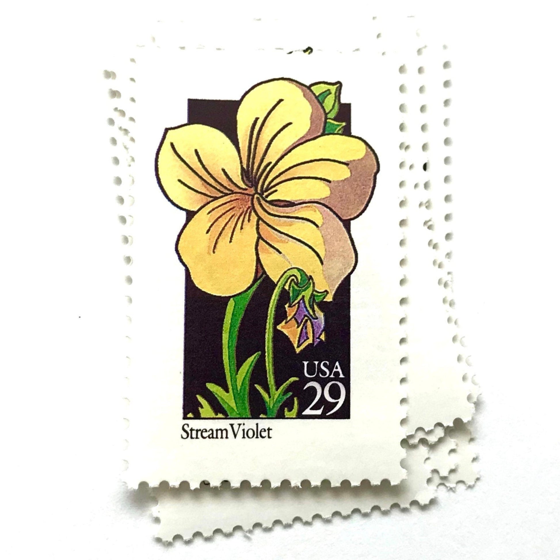 Image of 29-cent USPS postage stamps featuring a yellow Stream Violet flower from the 1992 American Wildflower Series (Scott #2655)