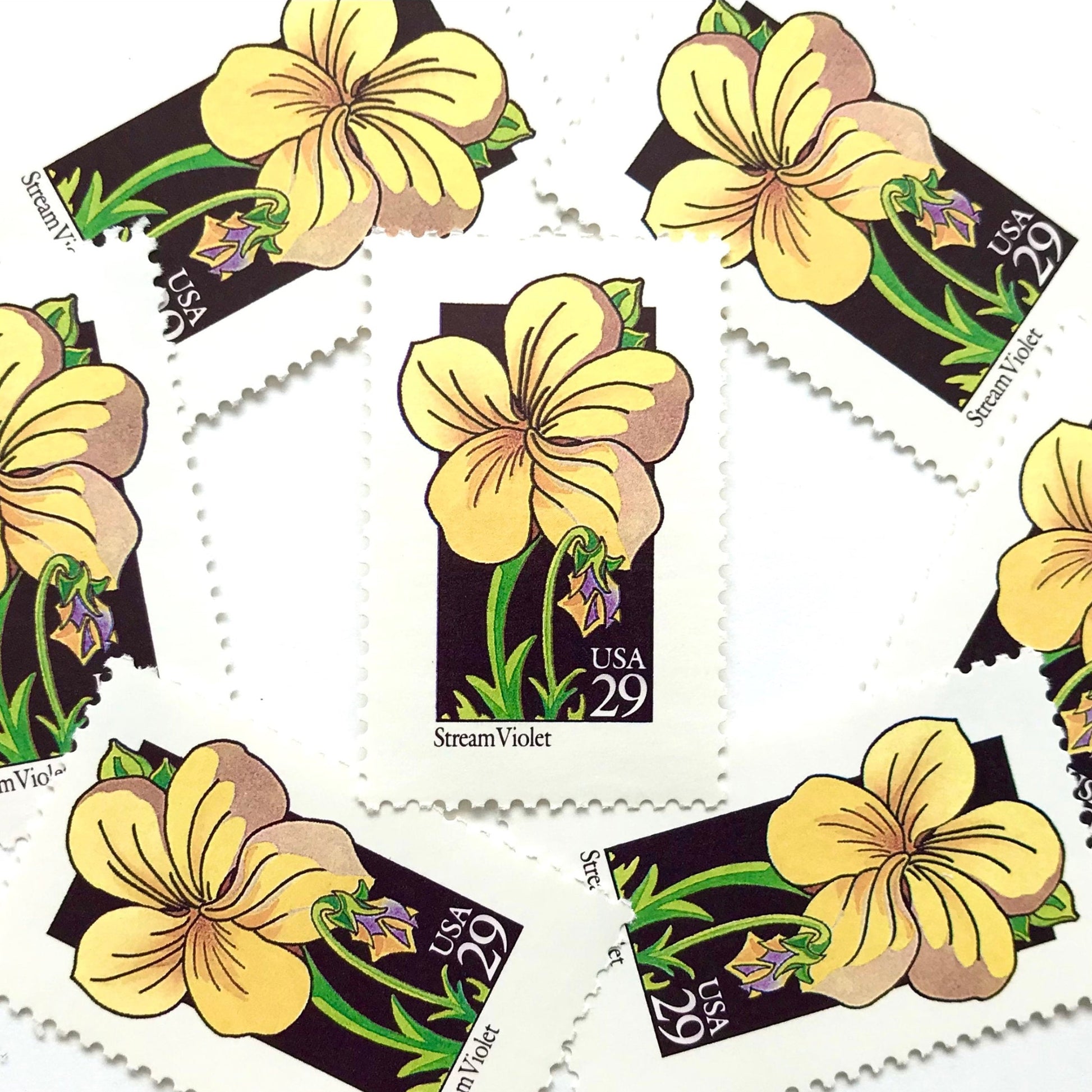 Image of 29-cent USPS postage stamps featuring a yellow Stream Violet flower from the 1992 American Wildflower Series (Scott #2655)
