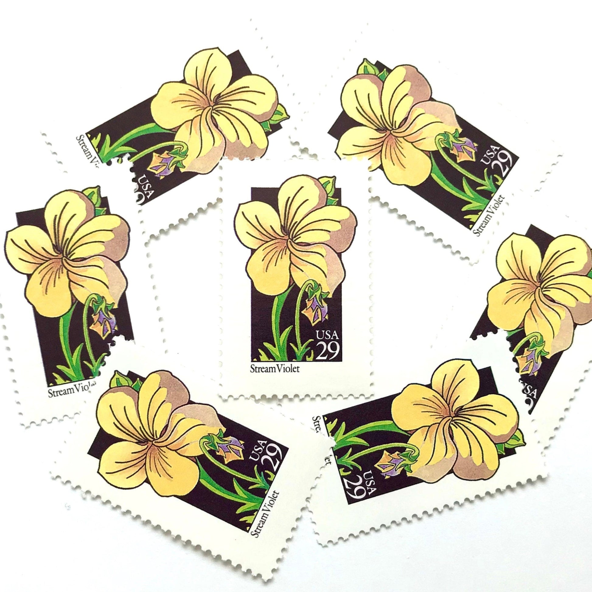 Image of 29-cent USPS postage stamps featuring a yellow Stream Violet flower from the 1992 American Wildflower Series (Scott #2655)