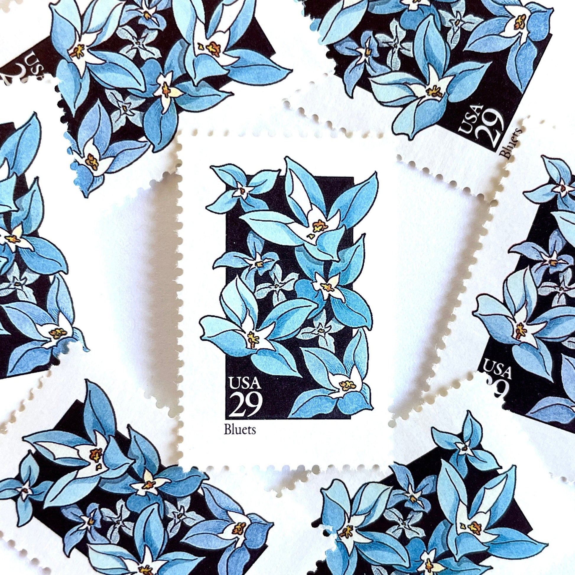 Image of 29-cent USPS postage stamps featuring a light blue Bluets flower from the 1992 American Wildflower Series (Scott #2656)