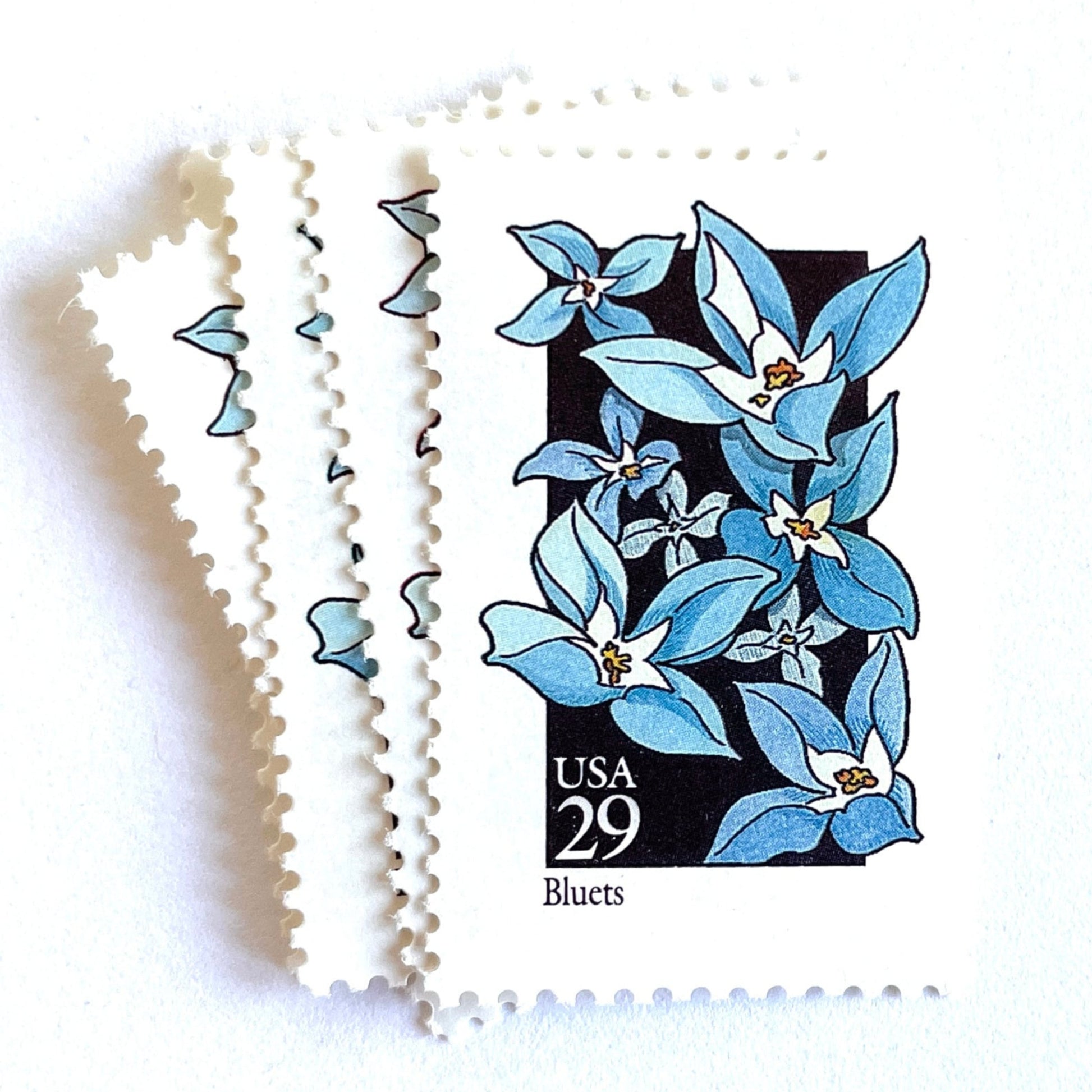 Image of 29-cent USPS postage stamps featuring a light blue Bluets flower from the 1992 American Wildflower Series (Scott #2656)